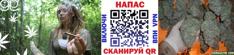 Все наркотики Грайворон СК  ГАШИШ  Канабис 