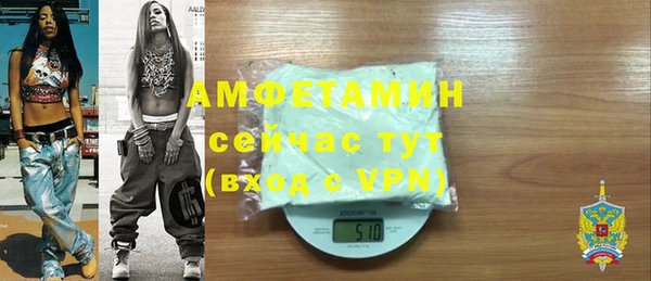 mdpv Вяземский